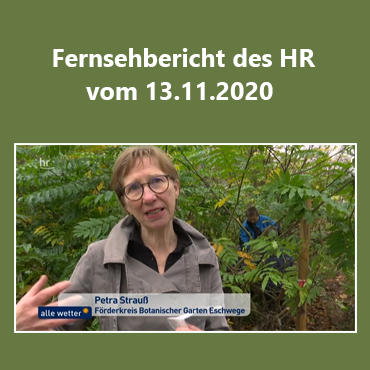 Insektenhotel