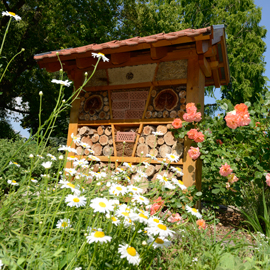 Insektenhotel